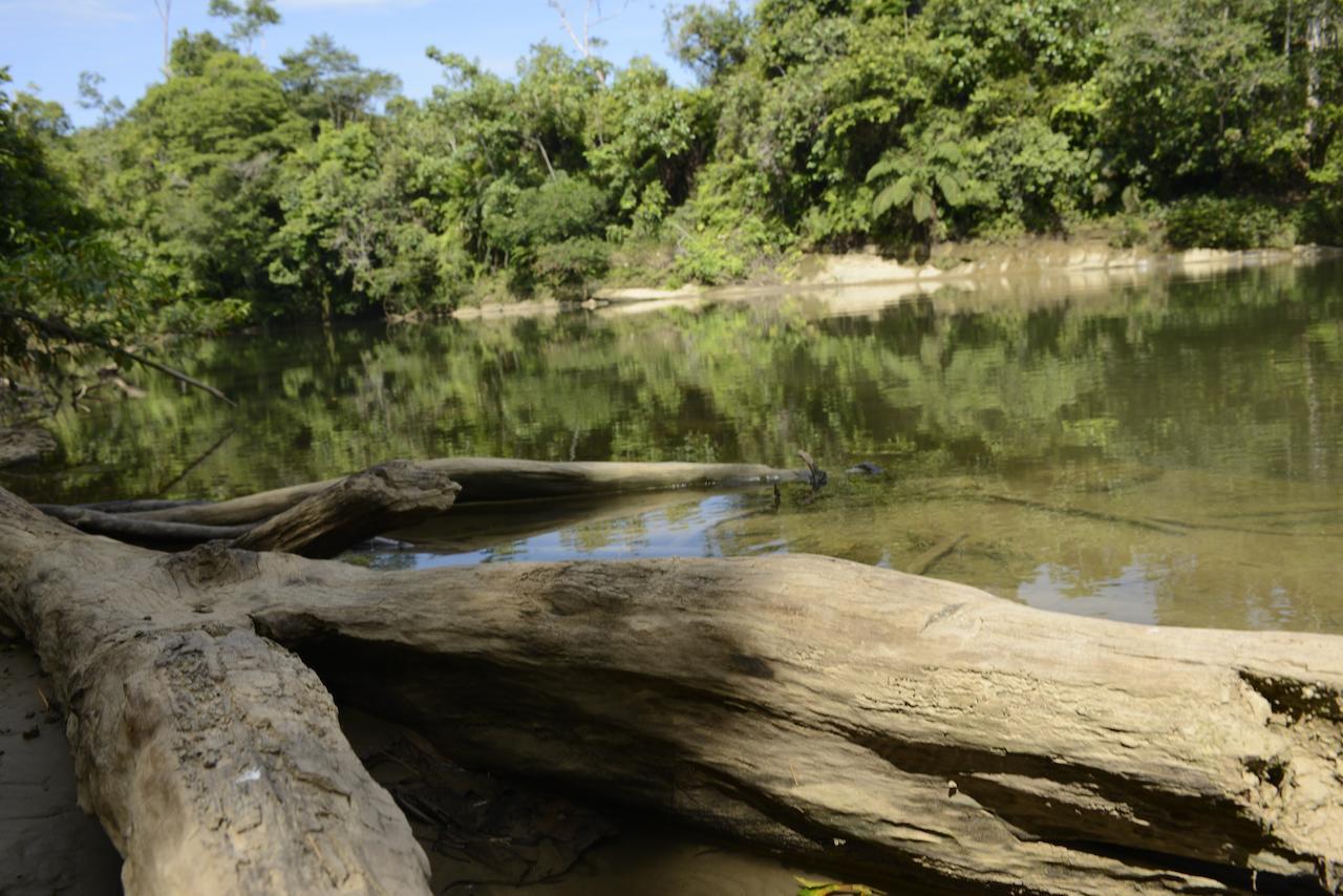 Itamandi Eco Lodge Río Arajuno Esterno foto